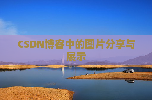 CSDN博客中的图片分享与展示